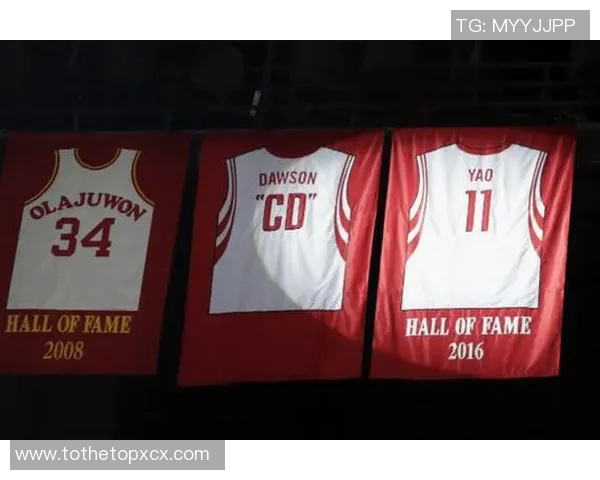 姚明秋衣头像的魅力解析与时尚影响力探讨