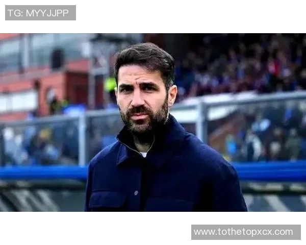 意大利足球明星的魅力与成就解析及其对全球足球的影响